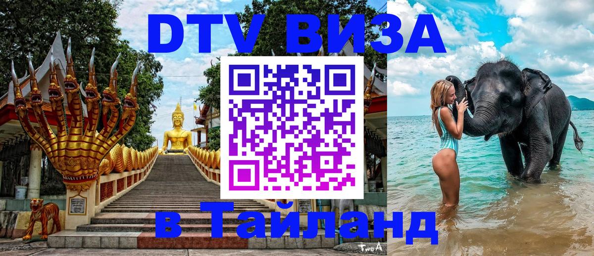Оформление DTV визы под ключ: стоимость и тарифы, только загранпаспорт - Тула 